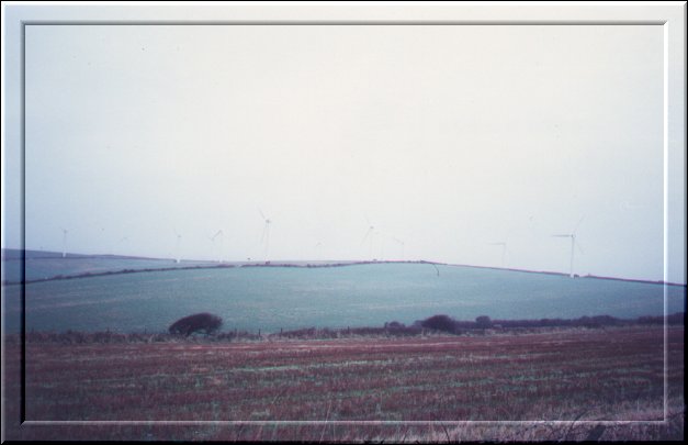 I told you it was windy!