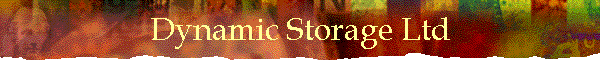 Dynamic Storage Ltd