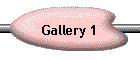 Gallery 1