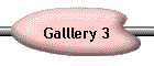 Galllery 3
