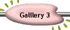 Galllery 3