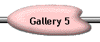 Gallery 5