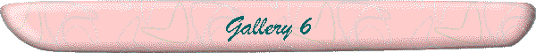 Gallery 6