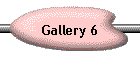 Gallery 6
