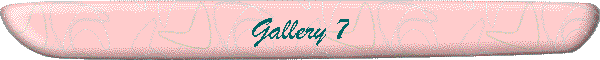 Gallery 7